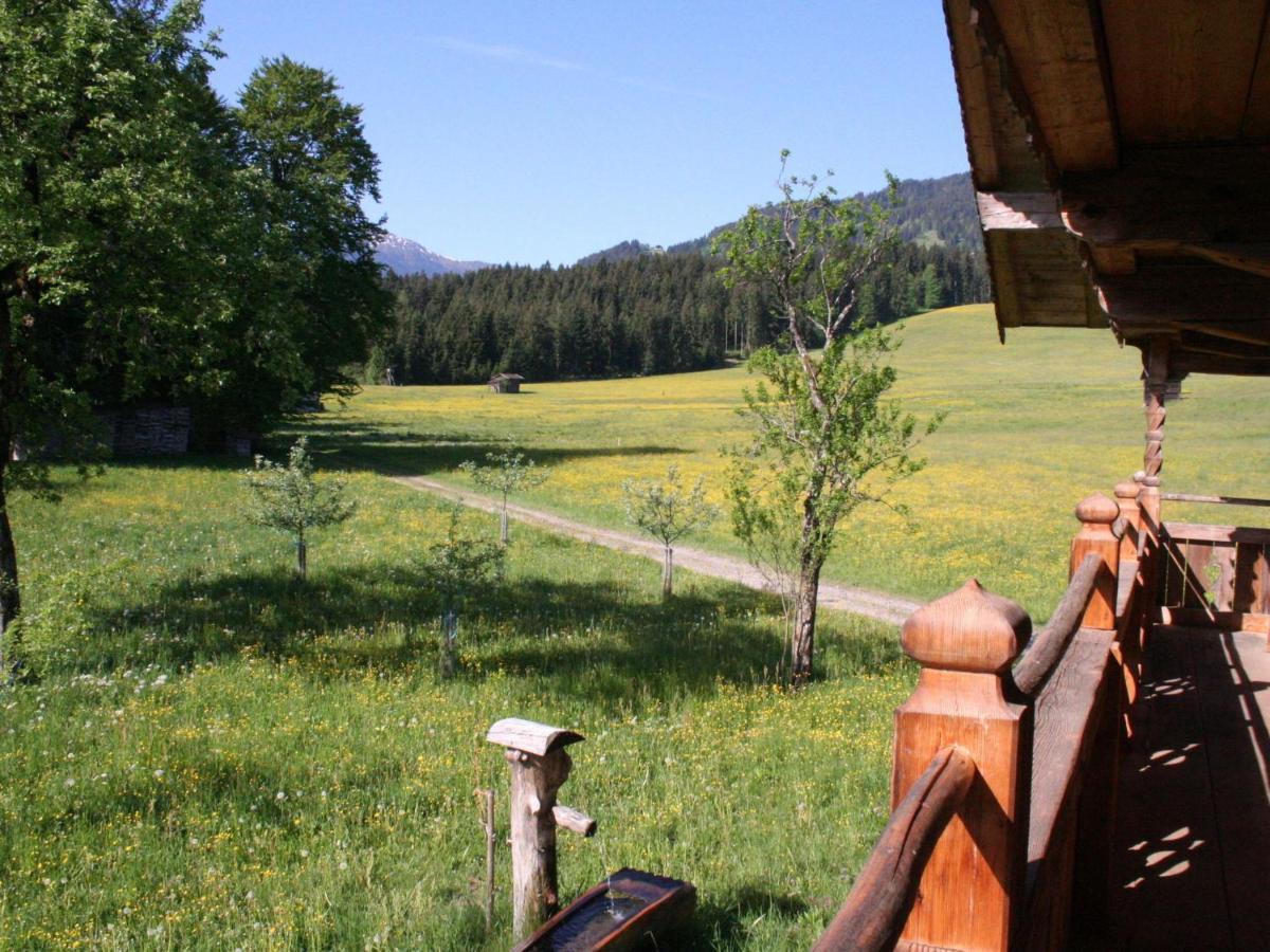 Farmhouse In Hopfgarten In Brixental With Garden Hopfgarten im Brixental Extérieur photo