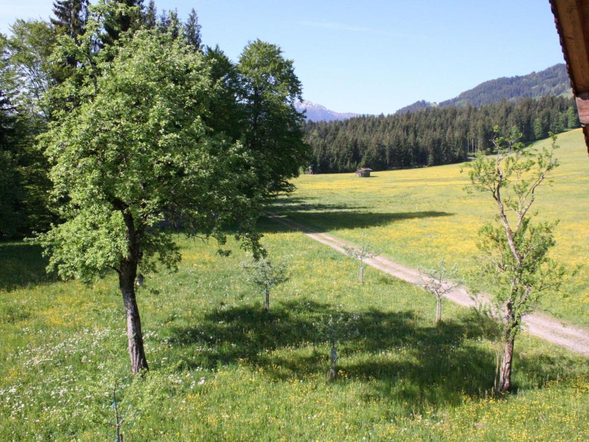 Farmhouse In Hopfgarten In Brixental With Garden Hopfgarten im Brixental Extérieur photo