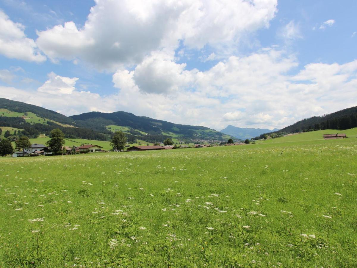 Farmhouse In Hopfgarten In Brixental With Garden Hopfgarten im Brixental Extérieur photo