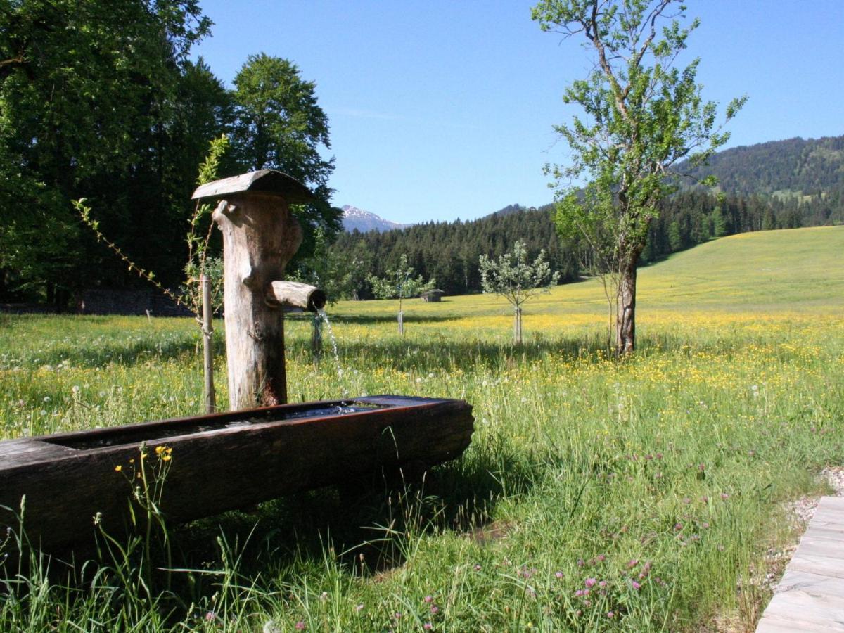 Farmhouse In Hopfgarten In Brixental With Garden Hopfgarten im Brixental Extérieur photo